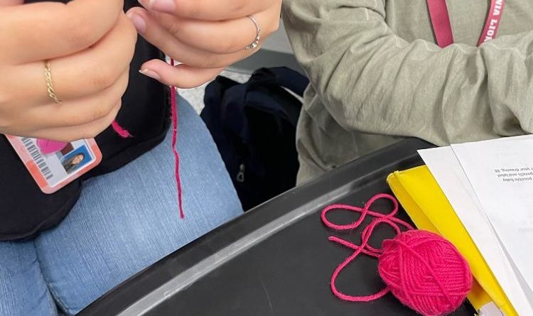 New Club Alert: The Crochet and Knitting Club